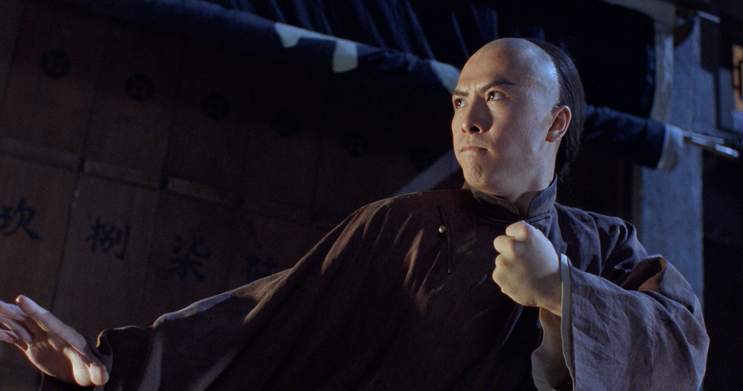 Donnie Yen Action Star