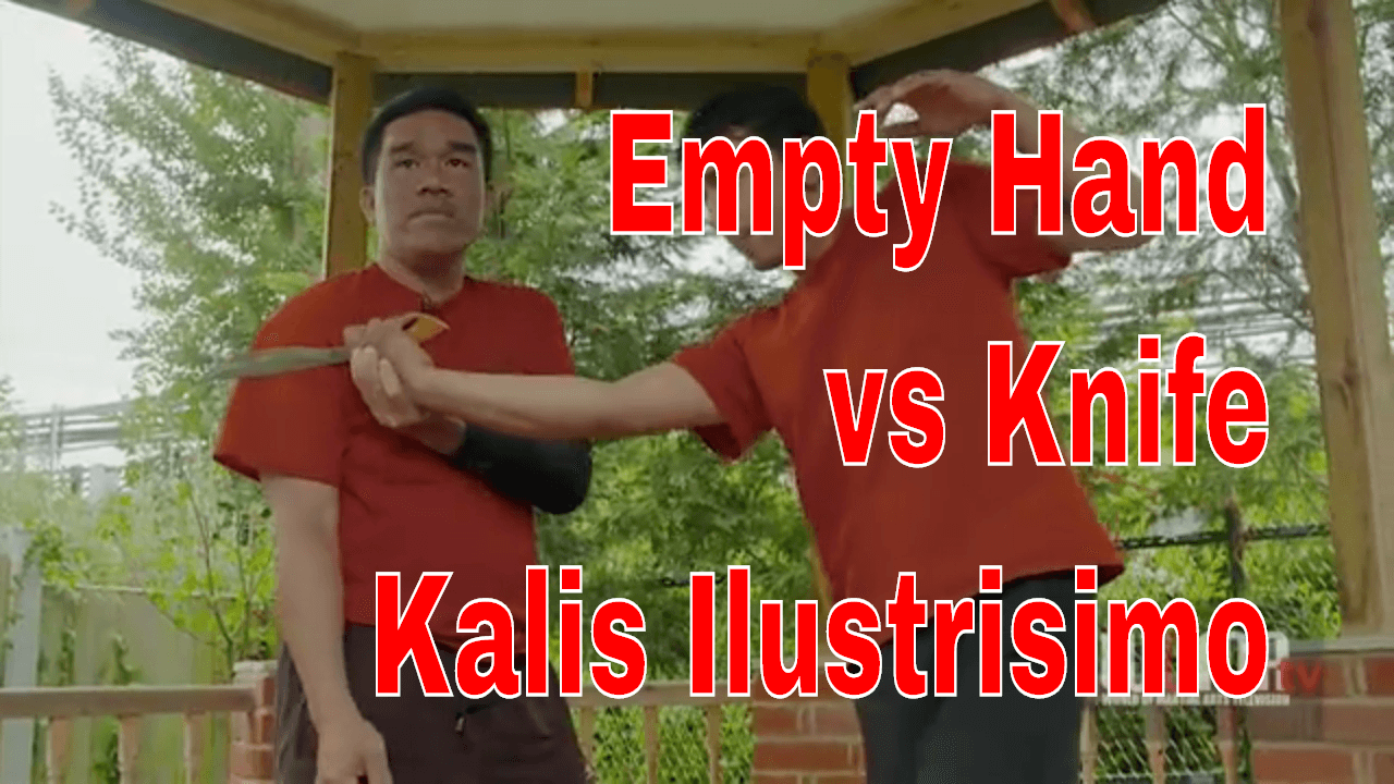 Empty Hand vs Knife