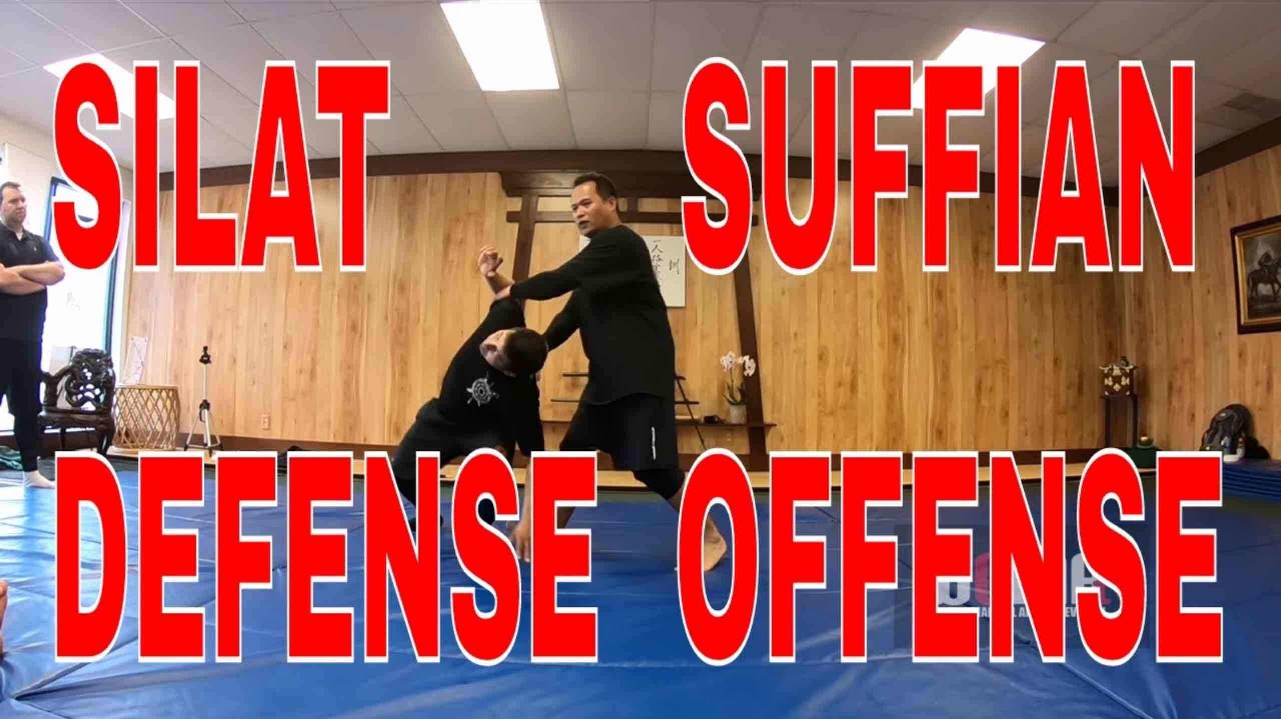 Defense Offense FLOW SILAT Training