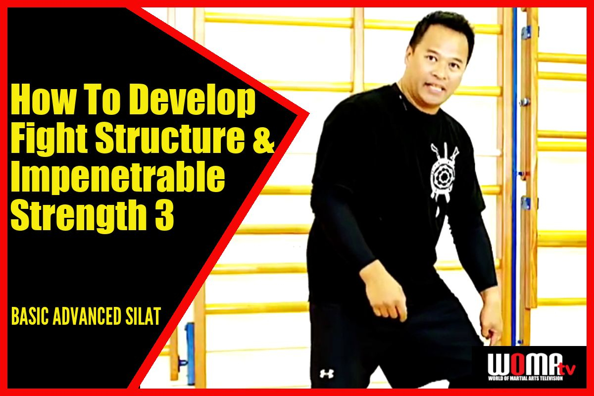 How To Develop Flowing Fight Structure & Impenetrable Strength 3 BASIC ADVANCED SILAT