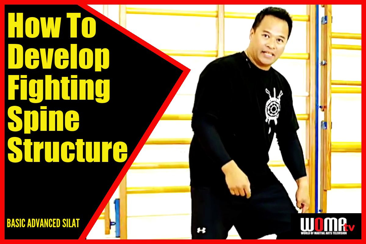 How To Develop Fighting Spine Structure