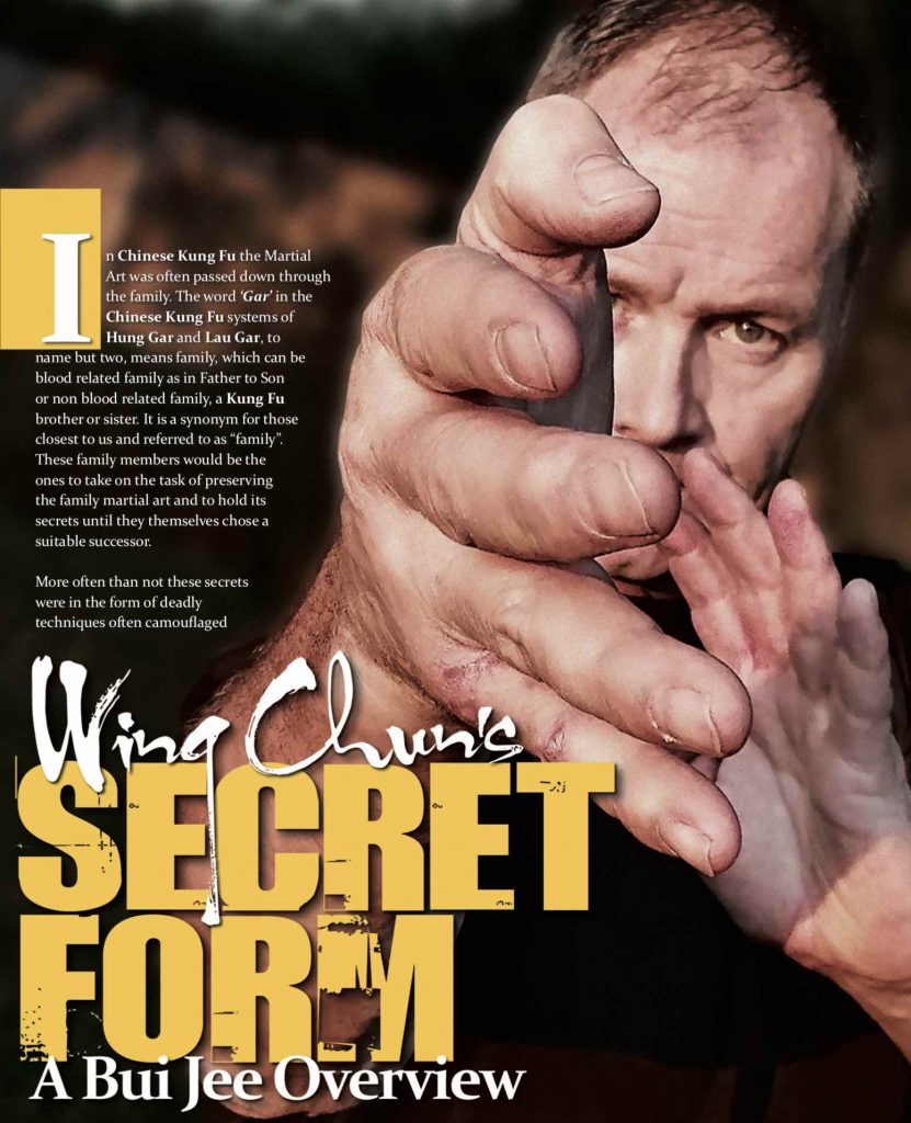 Wing Chun’s Secret Form