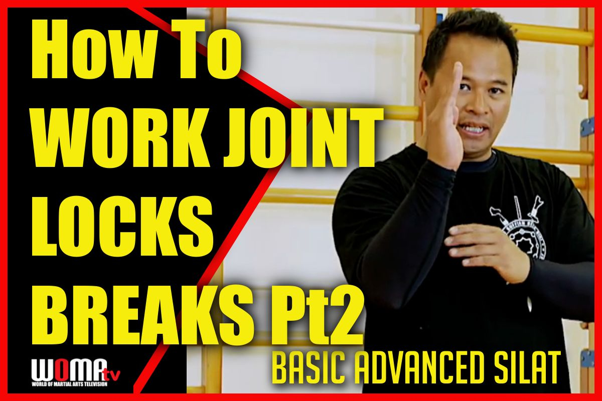 How To WORK JOINT LOCKS BREAKS Pt 2