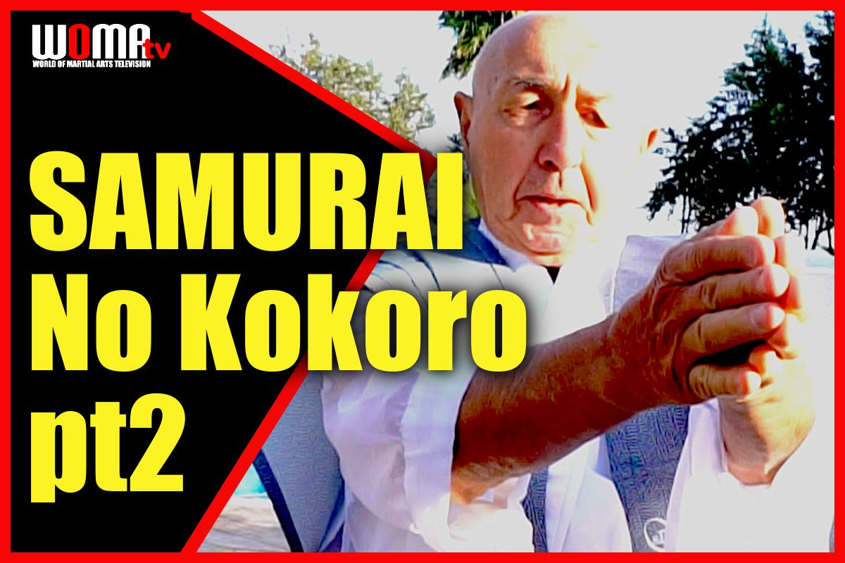 SAMURAI No Kokoro pt 2