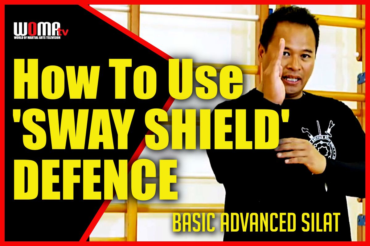 SWAY SHIELD DEFENCE