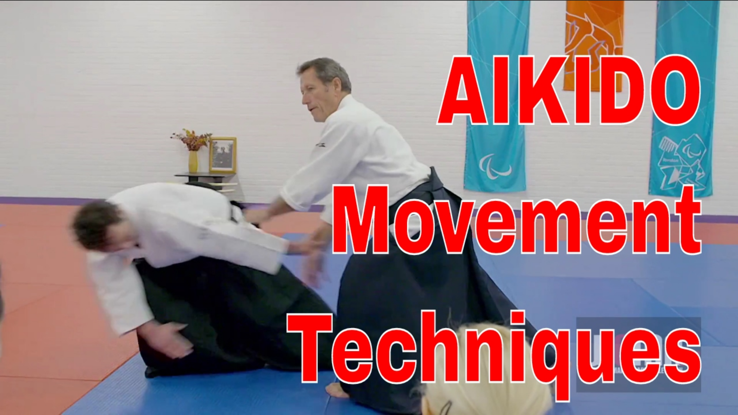 Devastating Aikido Techniques