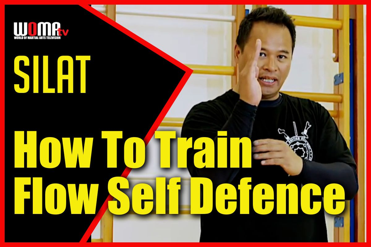 Train FLOW SELF DEFENCE Against Blade