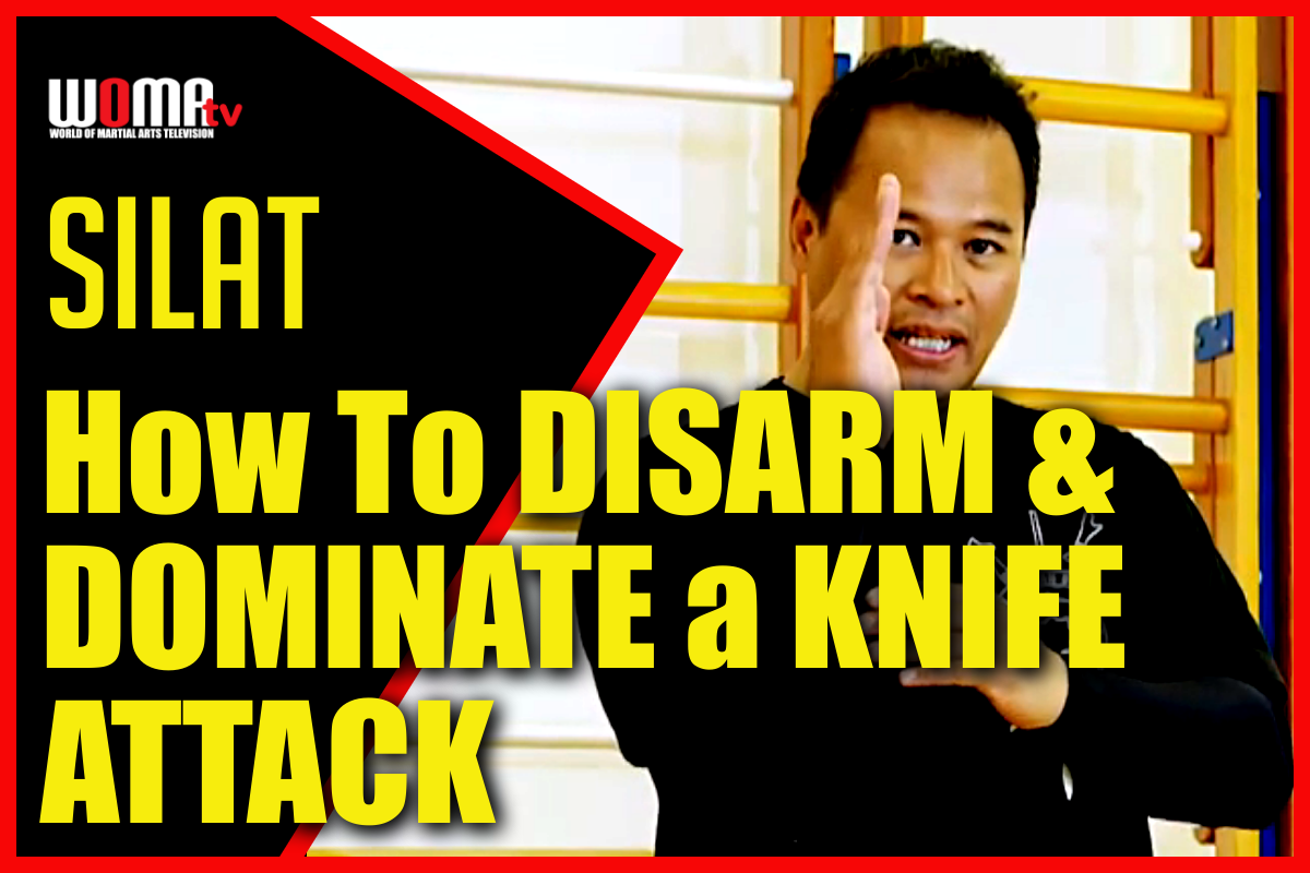 How To DISARM & DOMINATE a KNIFE ATTACK