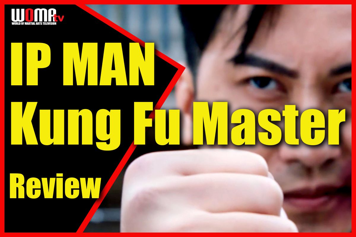 IP MAN Kung Fu Master